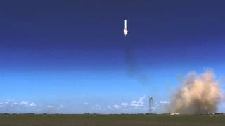 Watch as SpaceX's Grasshopper scares the crap out of a herd of cattle